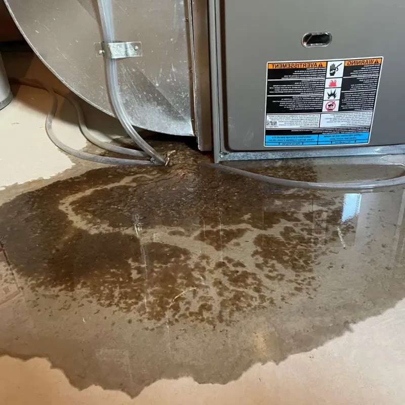 Pipe Burst and Leak Restoration in Kingston, RI