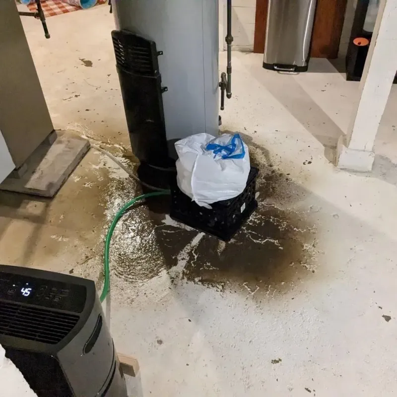 Sewage Backup Cleanup Service in Kingston, RI